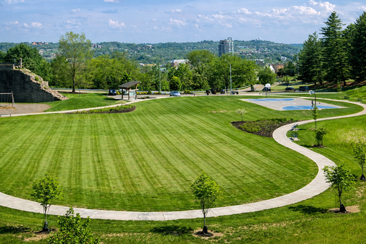 Walnut Hills: History and Momentum